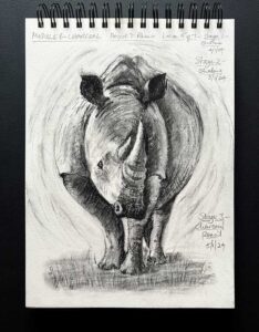 Read more about the article Online Art Course – Completing the Rhino Charcoal Drawing