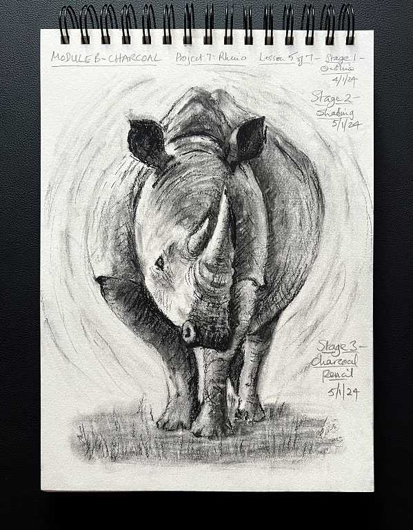 Read more about the article Online Art Course – Completing the Rhino Charcoal Drawing