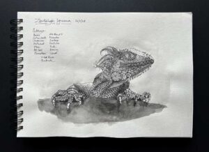 Read more about the article Zentangle Iguana