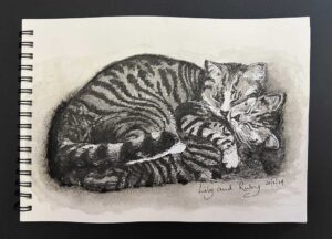 Read more about the article Online Art Course – Completing the Old Car Project, and a Drawing of Lily and Ruby