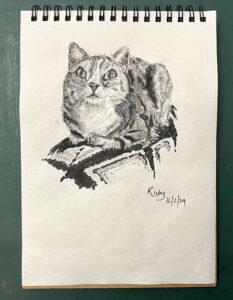Read more about the article Catching Up with the Online Art Course; Other Drawings, and Art in General