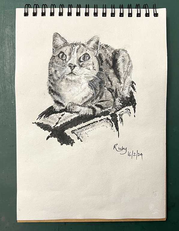 Read more about the article Catching Up with the Online Art Course; Other Drawings, and Art in General