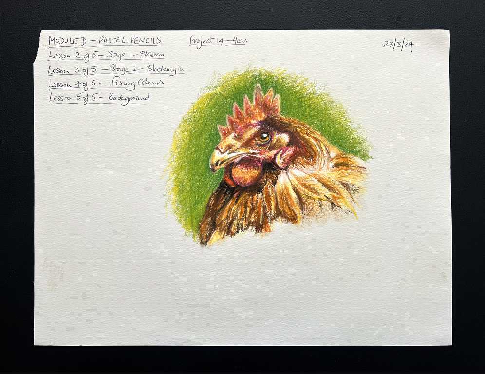 Read more about the article Online Art Course – Pastel Pencils – Hen