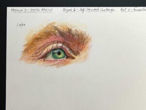 Read more about the article Online Art Course – Pastel Pencils – Self-Directed Challenge