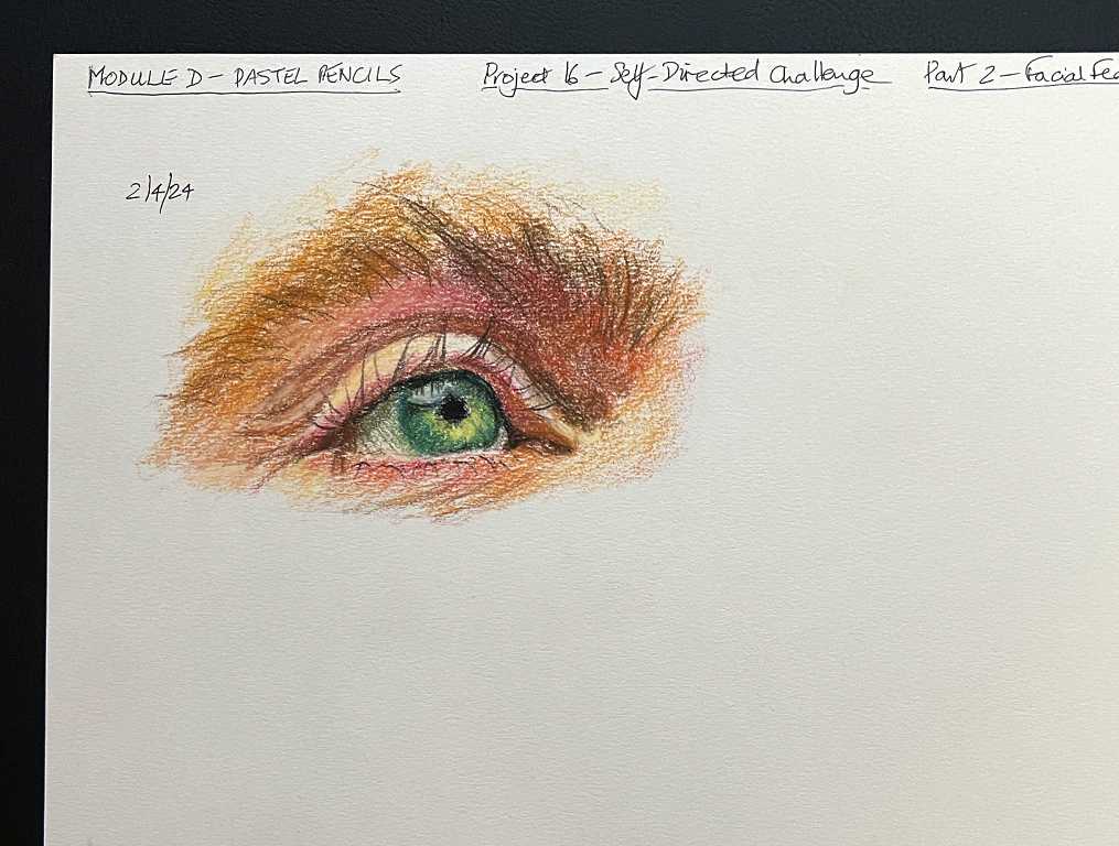 Read more about the article Online Art Course – Pastel Pencils – Self-Directed Challenge