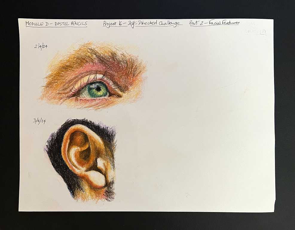 Read more about the article Online Art Course – Self-Directed Challenge Pt 2