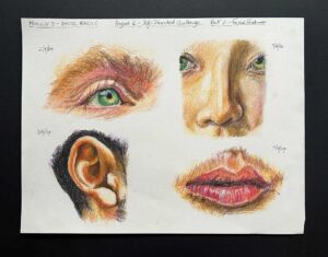Read more about the article Online Art Course – Completing the Pastel Pencils Module, the First Sheet of Peppermint Teabag Stains, and Coloured Pencil Update