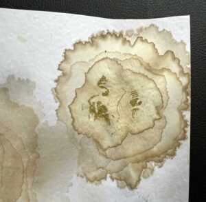 Read more about the article Teabag Art – Beautiful Staining