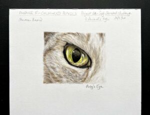 Read more about the article Online Art Course – The Final Project in the Coloured Pencils Module