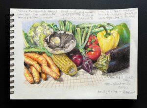 Read more about the article Online Art Course – Coloured Pencils – Vegetables