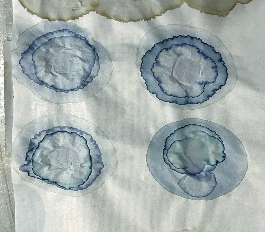 Read more about the article Blue Tea and Red-Green Vinegar – More Teabag Stain Experiments