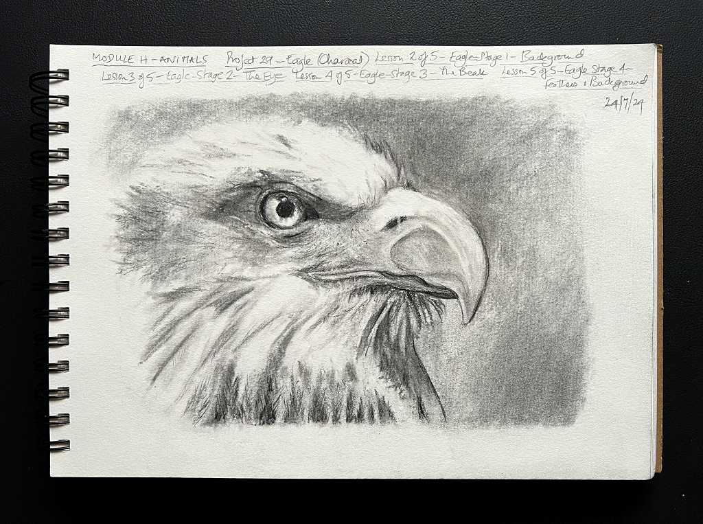 Read more about the article Online Art Course – Eagle in Charcoal