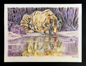 Read more about the article Online Art Course – Animals Module Self-Directed Challenge – Another Tiger
