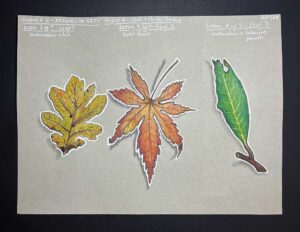 Read more about the article Online Art Course – Leaves and Flowers on Grey Paper