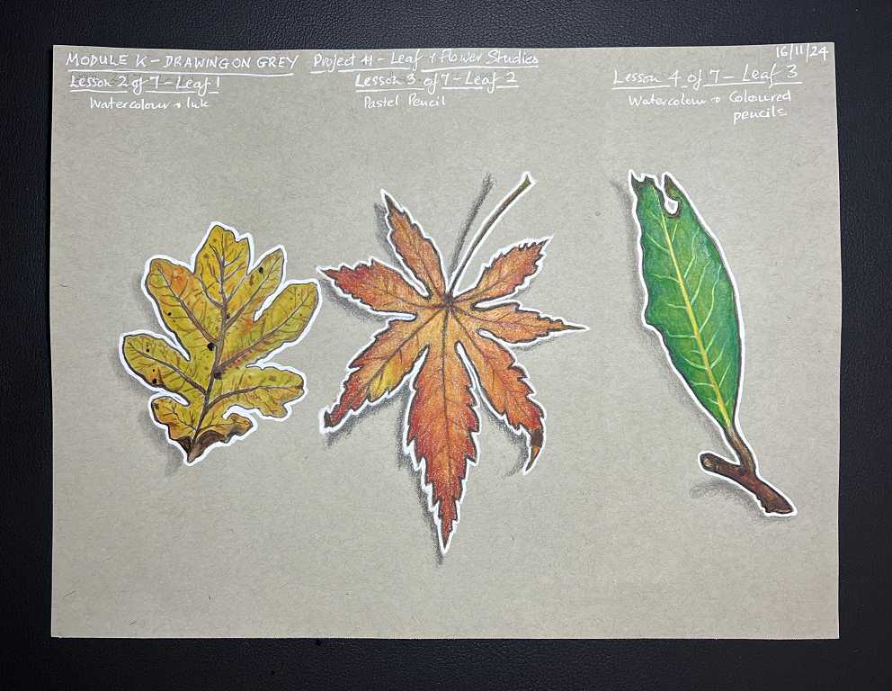 Read more about the article Online Art Course – Leaves and Flowers on Grey Paper