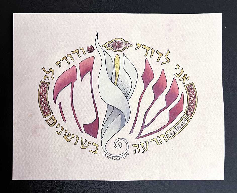 Read more about the article New Domestika Course – Hebrew Calligraphy