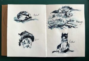 Read more about the article Outing to the Cat Cafe
