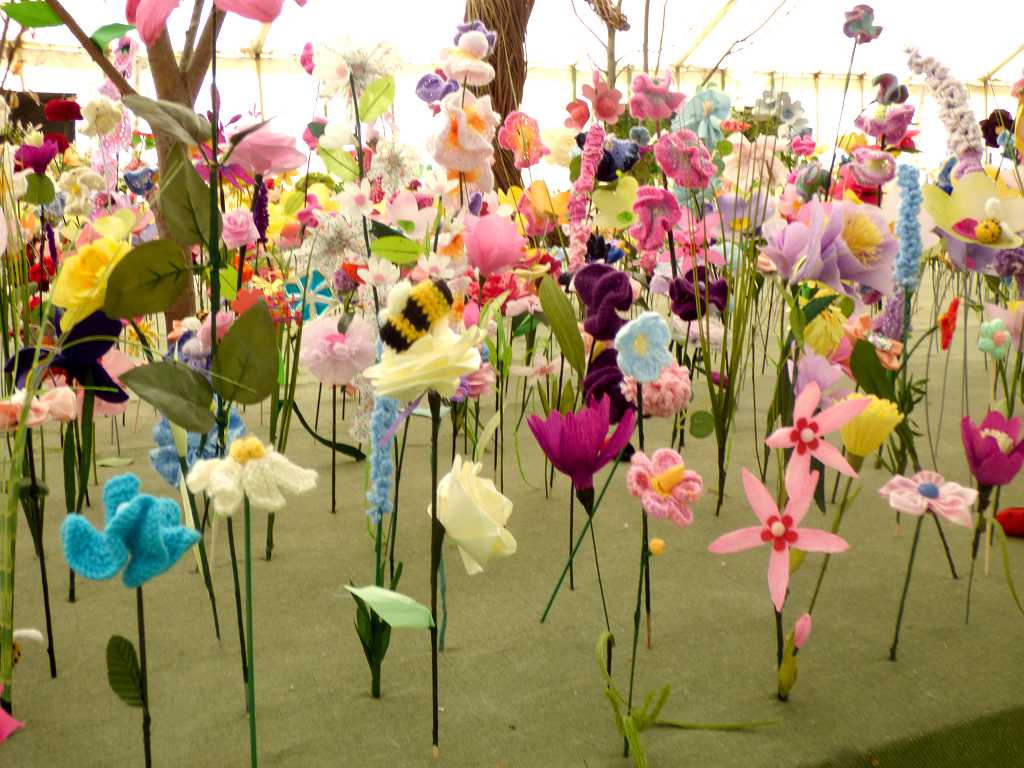 Read more about the article Devon County Show 2025