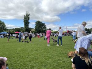 Read more about the article Village Fete