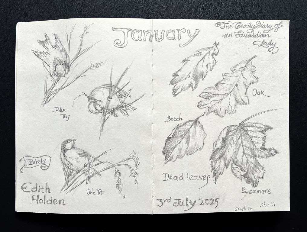 Read more about the article Drawing Practice from A Country Diary