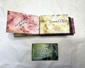 Read more about the article Infusions Mini-Album – the Revival of an Ancient UFO