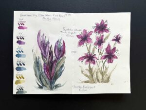 Read more about the article Kuretake Combinations – Smoky Brush Pens and Graphite Watercolours