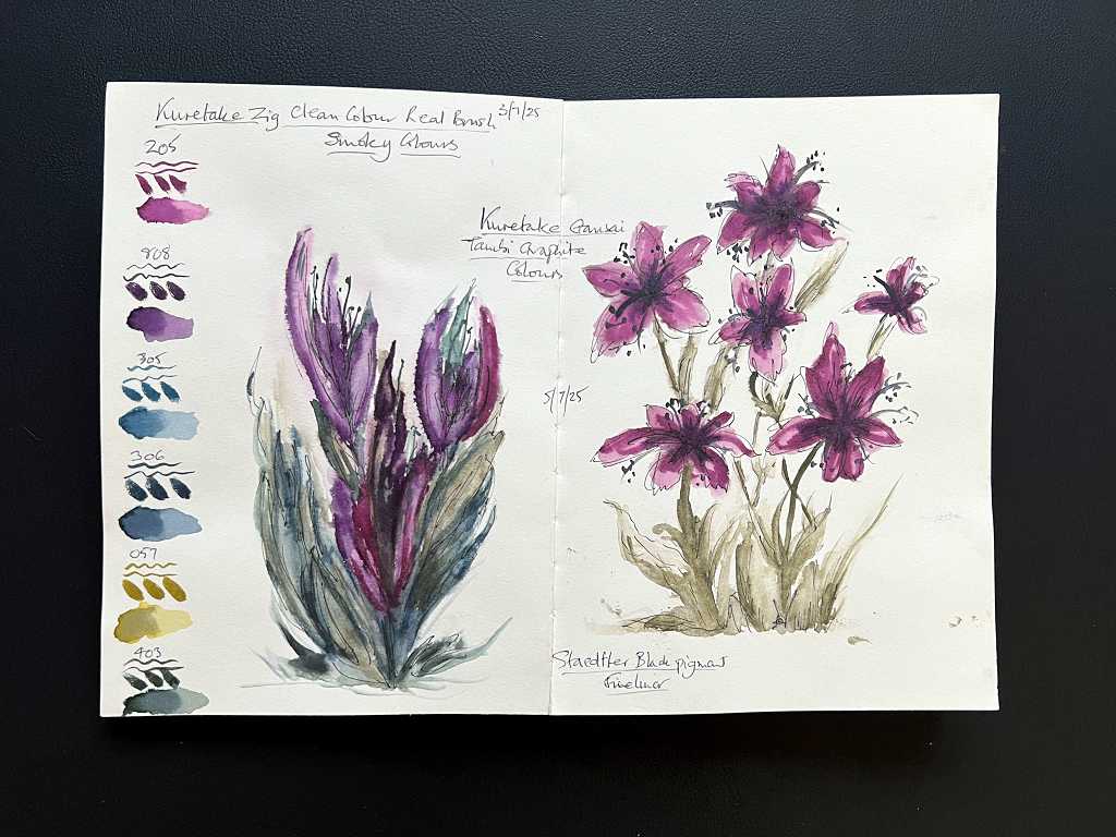 Read more about the article Kuretake Combinations – Smoky Brush Pens and Graphite Watercolours
