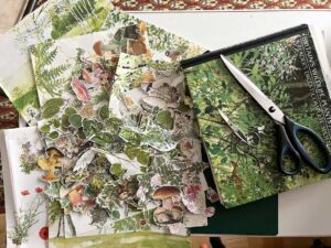 Read more about the article Fussy Cutting Images from Old Books
