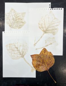 Read more about the article Eco-Printing – First Experiments with Embossing Machine