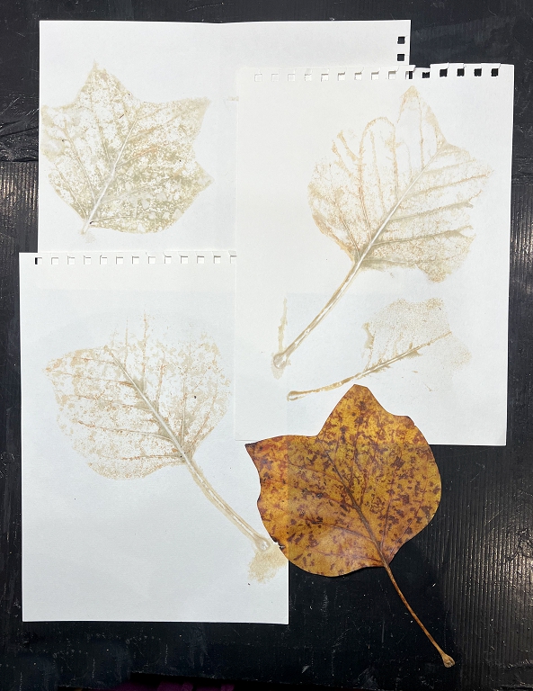 Read more about the article Eco-Printing – First Experiments with Embossing Machine