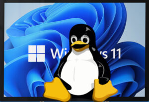Read more about the article Computer News – Transition to Linux