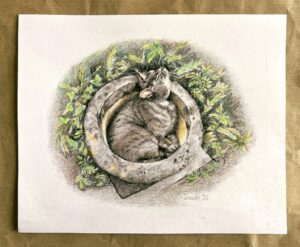 Read more about the article Coloured Pencil Drawing – Beatrice Hot Tubbing
