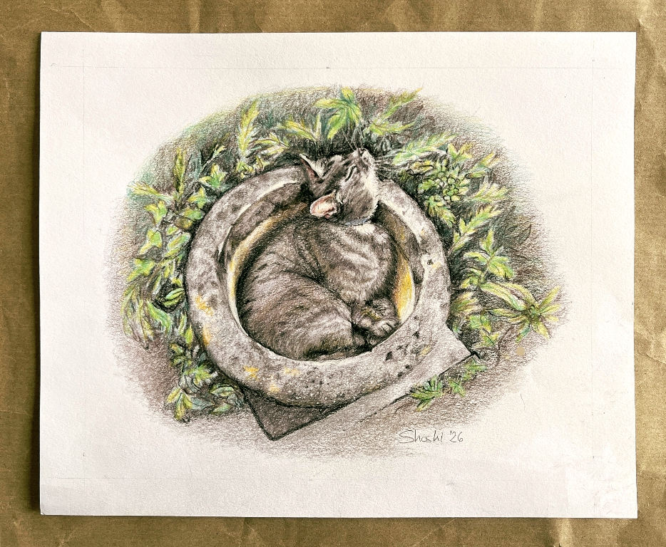 You are currently viewing Coloured Pencil Drawing – Beatrice Hot Tubbing