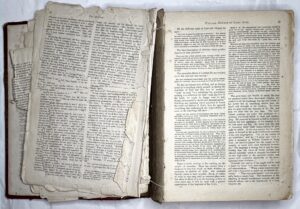 Read more about the article Double Tri-Fold Junk Mail Folio Part 6 – Background Info for Second Folio Decoration – Antique Book