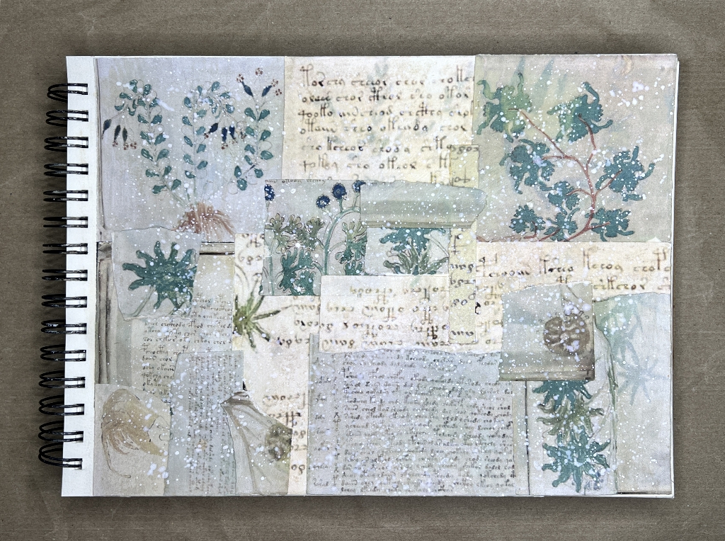 You are currently viewing Masterboard Book – Voynich Manuscript, and Printer News