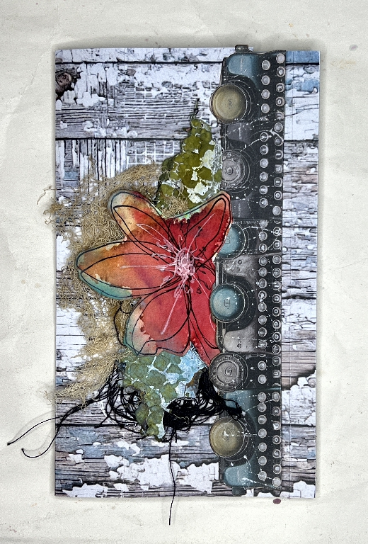 You are currently viewing Typewriter Album Part 7 – A Floral Page