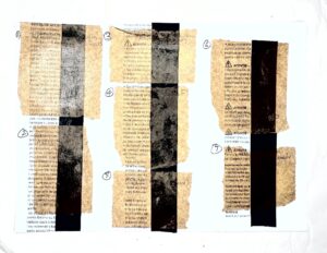 Read more about the article Cicada Wing Paper – Transparency Experiments